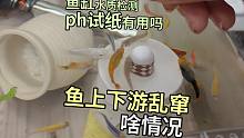 鱼上下游乱窜怎么回事？鱼缸水质检测ph试纸好用吗，热带鱼记录