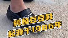 鳄鱼豆豆鞋，起源于1986年#鳄珍