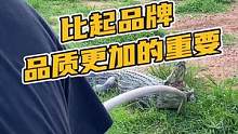 比起品牌，品质更加的重要#鳄珍