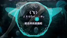 很遗憾！这首歌以后再也听不到！《飞》王恩信Est、二胖u