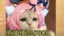 【原神梗图#308】仍然没有第二个角色任务的猫猫~