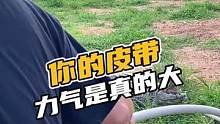 你的皮带，力气是真的大#鳄珍