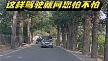 路上开车遇到这种危险情况，您会选择如何操作 #行车记录仪  #遵守交规 #危险瞬间 #危险驾驶请勿模