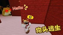 Roblox狗头逃生：有一个神秘的狗头迷宫！我的任务竟然是找猫咪？