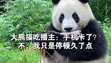 大熊猫吃播主：手机卡了？不，我只是停顿久了点