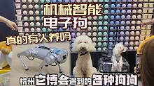 机械智能电子狗真的有人会养吗？杭州它博会遇到的各种狗狗们