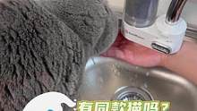 有同款猫吗？爱喝水龙头里的水…#猫喝水 #猫咪的迷惑行为