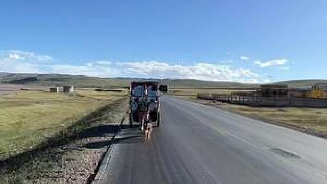 走什么路嘛,累惨狗了#流浪吧王温暖#王温暖徒步青藏线 #带着狗狗去