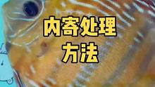 七彩神仙鱼体内寄生虫处理方法实操！
希望对大家有所帮助！
#七彩神仙鱼 #观赏鱼世界 #热带鱼 #鱼