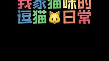 #萌宠 #宠物 #猫 #抖in萌宠计划 #记录猫咪日常 自娱自乐