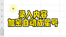 录入内容自动加密成星号显示