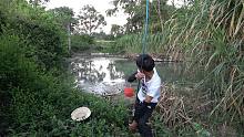 野钓：农村河道堤坝口处，小明连连飞竿上鱼，看着都过瘾