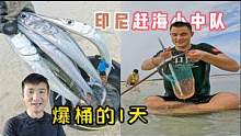 《印度尼西亚》第21天：今天的赶海收获，直接把粉丝朋友给惊呆了！ #印尼#真实赶海 #旅行大玩家 #