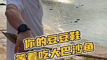 你的豆豆鞋等着吃大巴沙鱼#鳄珍
