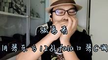 【12孔fala口琴】演奏 孤勇者 高音也可以压音装饰