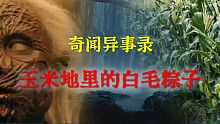 【灵异事件】玉米地里的白毛粽子 |  民间鬼故事 | 真实灵异 | 解压故事 | 灵异诡事 | 恐怖