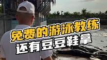 免费的游泳教练，还有豆豆鞋拿#鳄珍