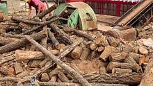 木材粉碎机粉碎的锯末不仅可以作为食用菌的营养物质，还可以作为有机肥、机制炭、生物质颗粒、造纸、锯末板