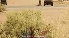 搞笑吃鸡:当国外玩家遇到中国老阴批的搞笑时刻！ #击杀集锦 #精彩击杀 #游戏精彩时刻