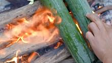 去水边吃个竹筒焖鸡，避暑乘凉绝绝子