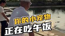 你的小宠物正在吃午饭#鳄珍 