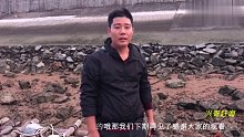 夜晚赶海抓青蟹太过瘾了，兴哥一路狂抓不停，一个个都太肥