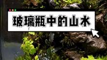 油管一位博主打造的这个罐中小石泉，从0开始搭建水泵、粘黏土铺假山、植绿苔种细草。所有步骤都井然有序，