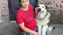 一开始不同意我养狗的妈妈，现在谁也离不开谁❤️