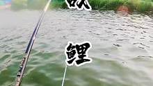 #钓鱼人 #野钓达人 #野外垂钓 #爱钓鱼的男人 #钓鱼人
