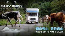 21RV川藏行｜面向雪山 背靠青山 驾大驰蛮牛驶向若丁山之巅