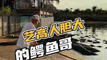艺高人胆大的鳄鱼哥#鳄 