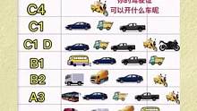 驾考新规准驾车型#驾考驾考 #准驾车型 #考驾照 