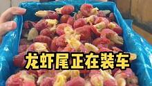 昨天下单的龙虾尾都已经发出啦！#海鲜原产地 #龙虾尾