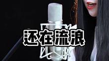 单曲循环的一首❤️#还在流浪 #全网最快周杰伦新歌翻唱