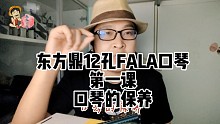 【东方鼎12孔FALA口琴教学】第一课 口琴两个阶段的保养