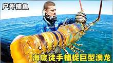 海底徒手捕捉巨型澳洲龙虾，一家人齐享澳龙大餐，最后这只厉害了 #澳洲龙虾 #捉虾 #户外 #出海 #