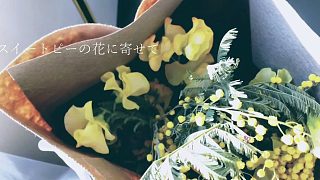 花言葉/Haquu__【feat.初音ミク】