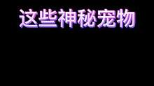 #魔力宝贝旅人 #跟着阿sa学普通话 #万人超大服自由捉神宠 大家一起来玩吧