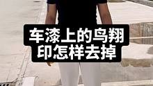 飞翔落在车漆上一定要及时清理哦 #每天一个用车知识