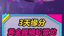 根据我对雷龙鱼的长年研究...#水族 #雷龙鱼 