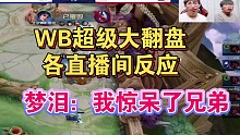 【KPL】WB被破两路高地超级大翻盘各直播间反应，梦泪：我惊呆了兄弟