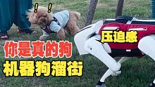 2万买的机器狗，第一次下楼真为它的智商捉急！