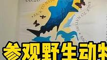 参观野生生物摄影展，看看这些野生动植物多么的美丽神奇吧 #野生动物 #保护地球 #创意摄影 #视觉艺