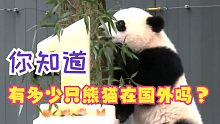 现在有多少只国宝大熊猫在外国？