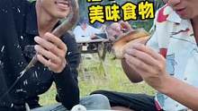 #户外#海岛生活 #户外美食 海岛生活第26
集，我们开始一点点的打造这里，未来让这里成为一个海岛小