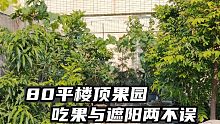 家住顶楼，又闷又热怎么办？种上果树就安逸了，一年四季还有果吃