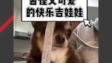 失去爱犬的小姐姐和失去主人的狗狗相遇，在最迷茫的时候互相触碰彼此的心扉。虽然这是段巧合的缘分，但又如