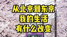 从北京到东京，我的生活有什么改变#移居日本 #日本生活 
