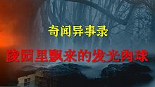 【灵异事件】 陵园里飘来的红色发光的肉球  |  睡前别忘来段小故事 「奇闻异事录」