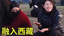 女骑士摩旅西藏，直接在那曲牧民家里过日子，生火做饭挤牛奶 #农村日常 #牦牛 #草原 #女骑士 #穷